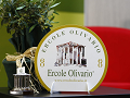 Premio Ercole Olivario