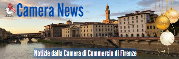 testata della newsletter camerale