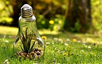 immagine decorativa