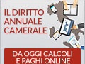 logo del diritto annuale camerale