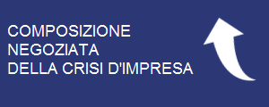 Composizione negoziata della crisi d'impresa