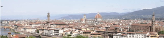 Panorama di Firenze da Piazzale Michelangelo