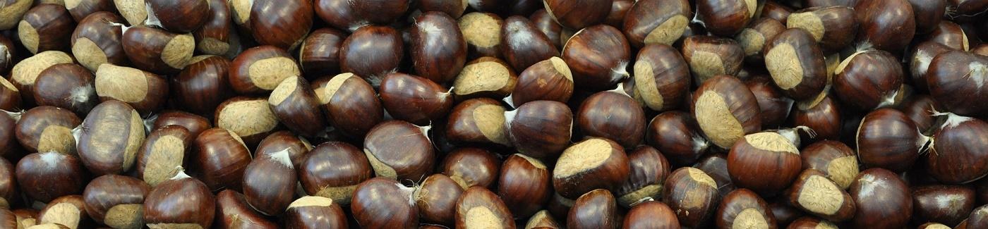 Castagne