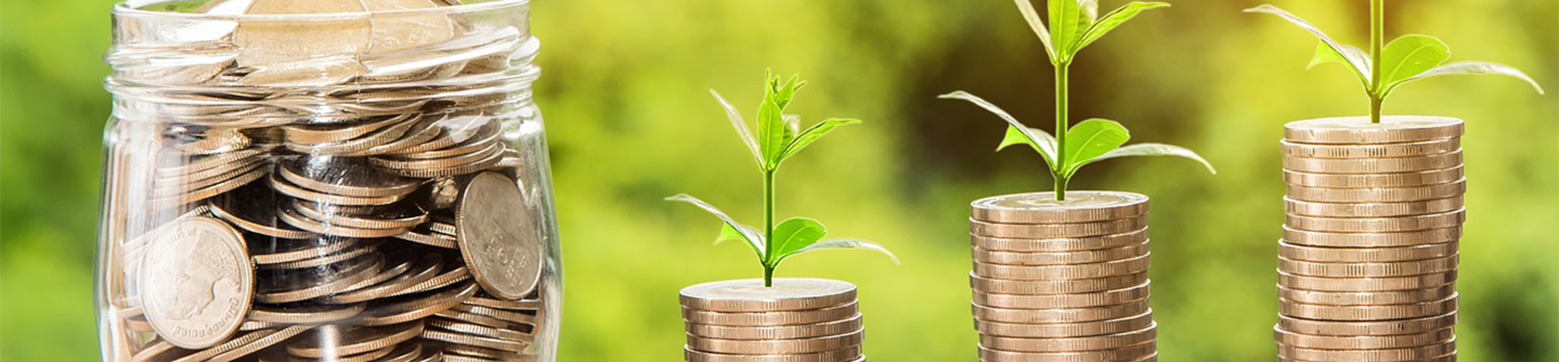 Monete impilate su cui crescono piante