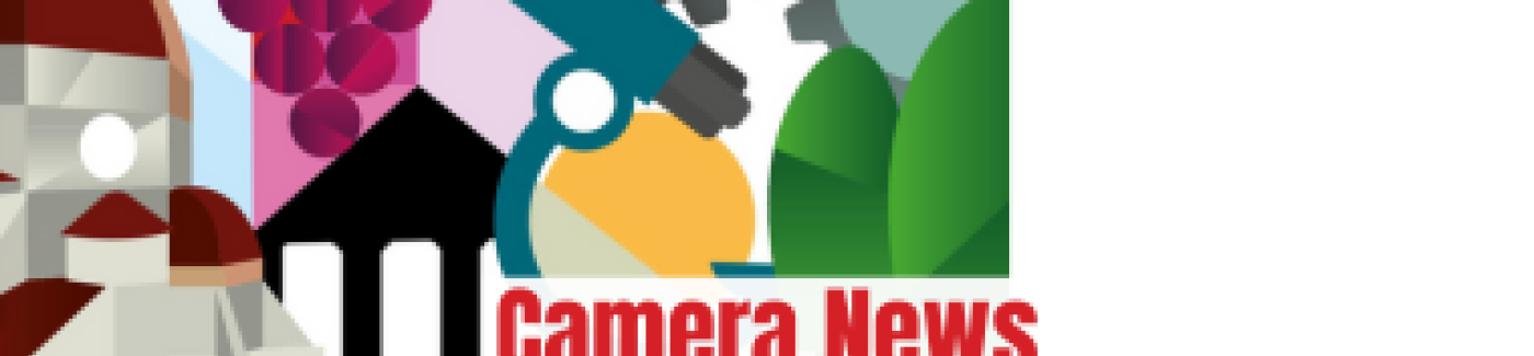 testata della newsletter camerale