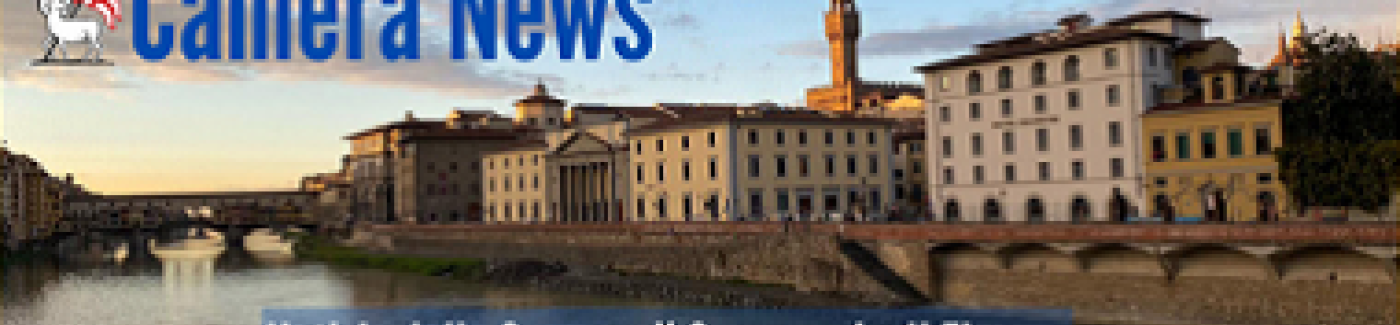 testata della newsletter camerale